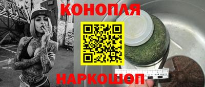 стаф Моздок