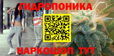стаф Моздок