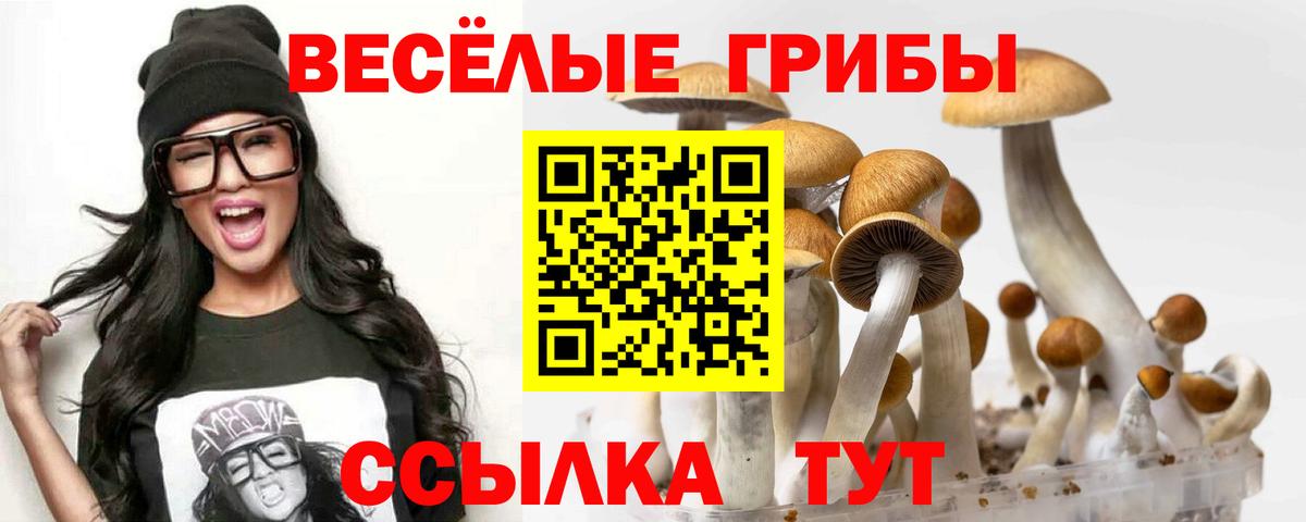 Галлюциногенные грибы ЛСД Ростов-на-Дону